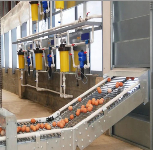 Automatic Chicken Breeding Farm Machine and Business Plan