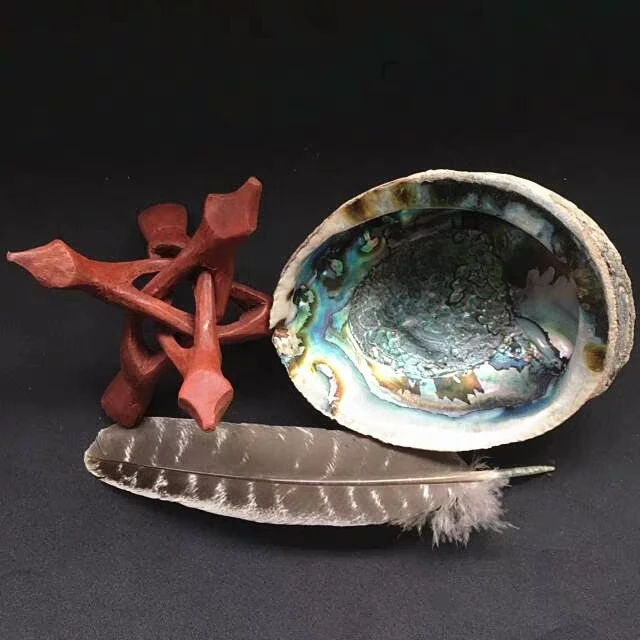 10-12cm Natural Craft Seashell Polished Chakra Gift Box Abalone Shell