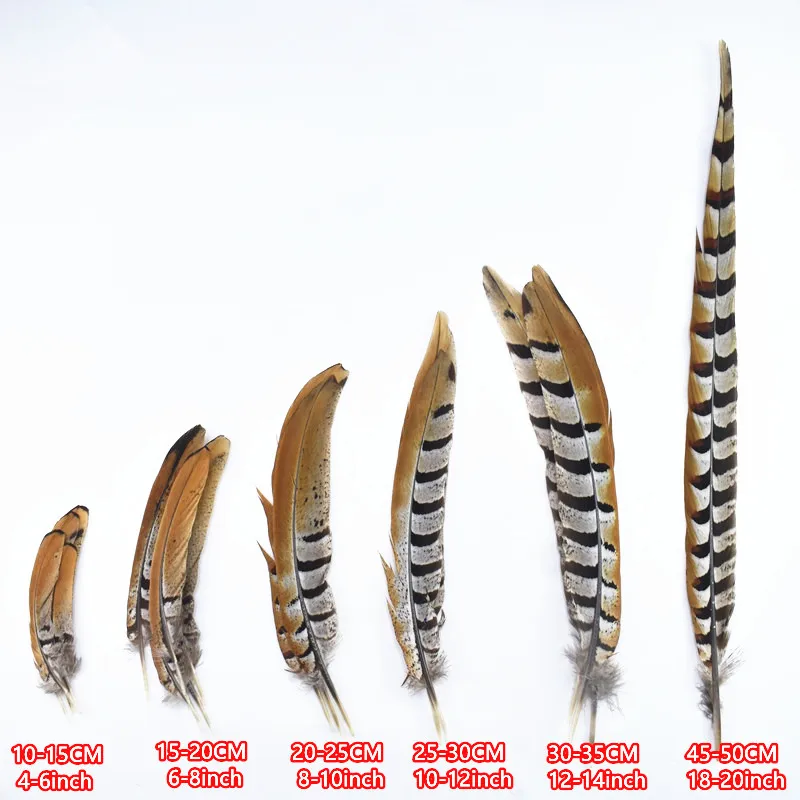 Ehfeather Good Quality natural  pheasant feather trims fringe Gorgeous Fashionable pheasant feathers