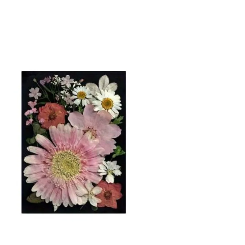 Wholesale Beauty Artistic  DIY Crafts  Resin Art  Decorations Home Decor Flower Pressing Toys