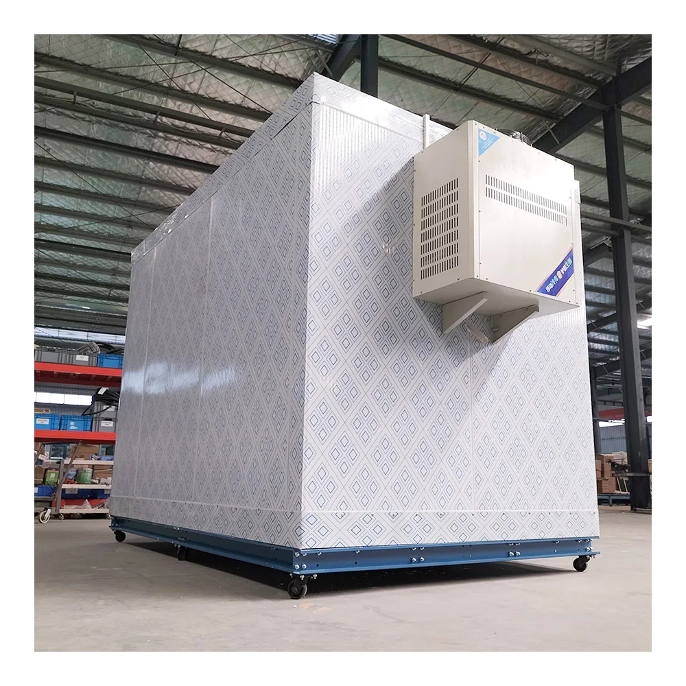 Quick Freezer Best Rechargeable Battery Solar Power for fish meat vegetable Cold Storage Room for Vegetables and Meat