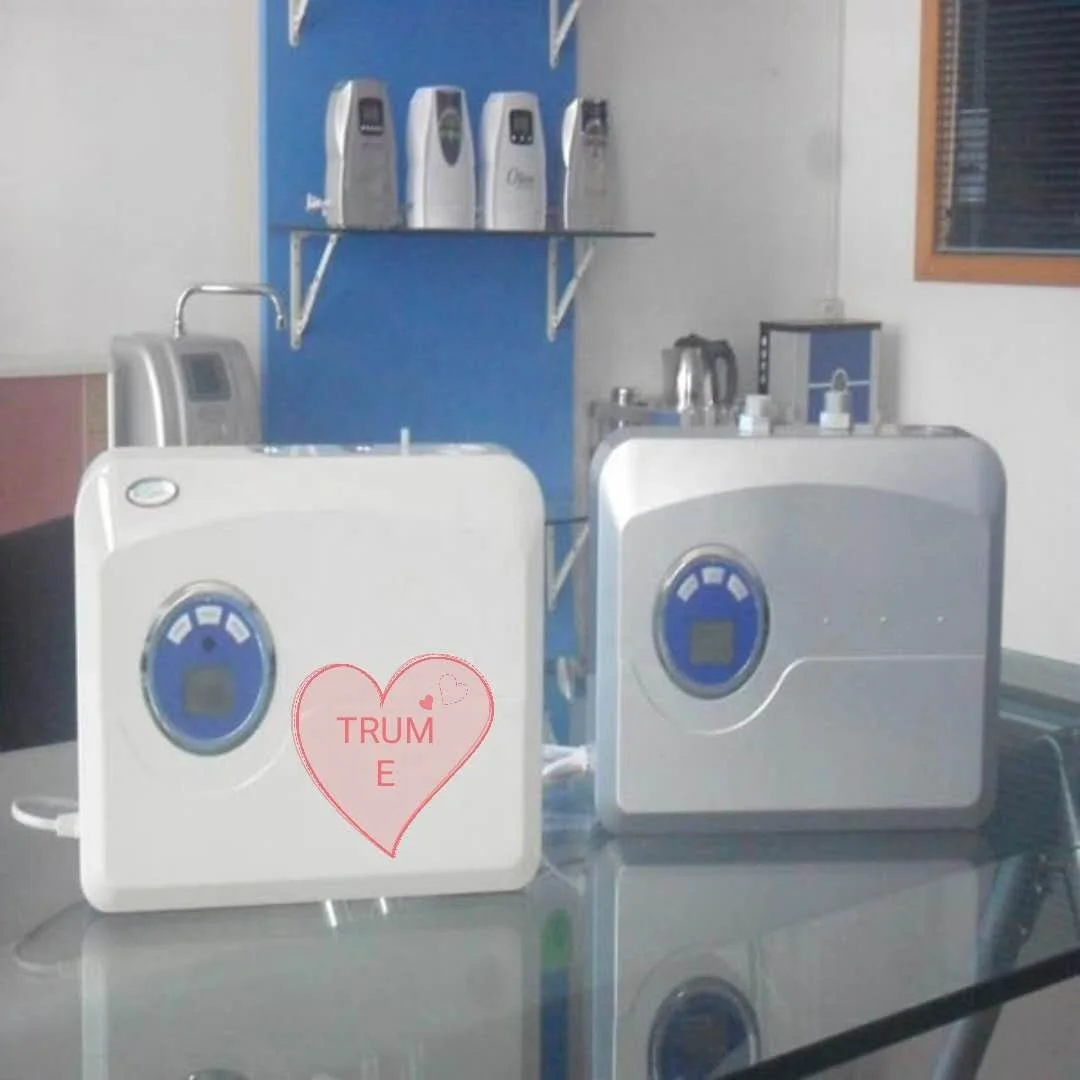 
Multi-functional home or car styling air purifier ozone generator for drinking water AC220V clean air and water 