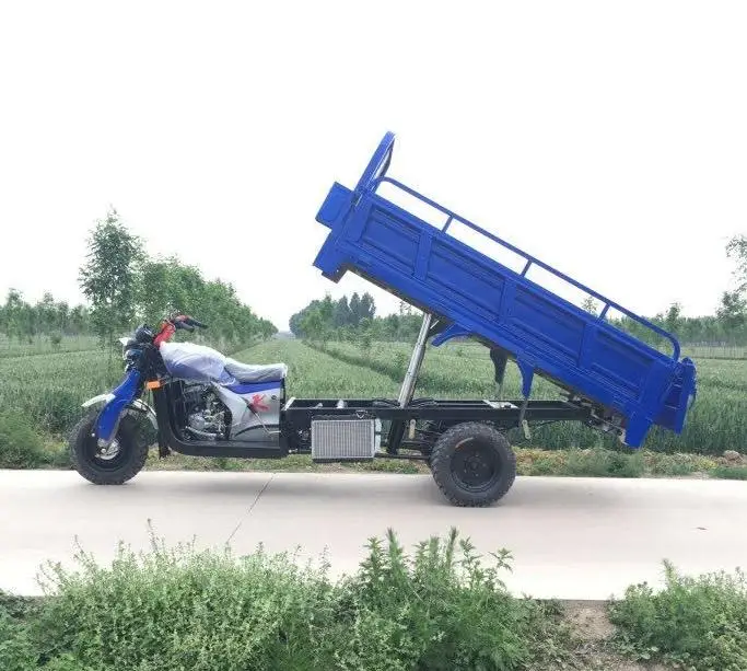 China 5 Wheels Motorised Tricycle 250cc 300cc Cargo Van Truck with Zongshen Lifan Loncin Engine