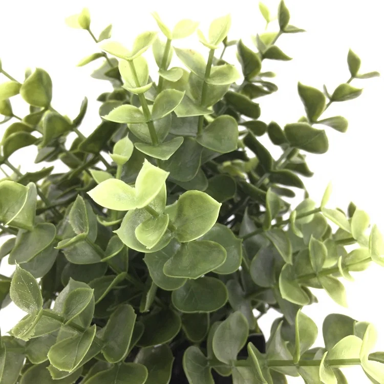 
Amazon fast delivery hot sale Nature touch Artificial eucalyptus leaves bonsai grass potted for home decor indoor decoration 