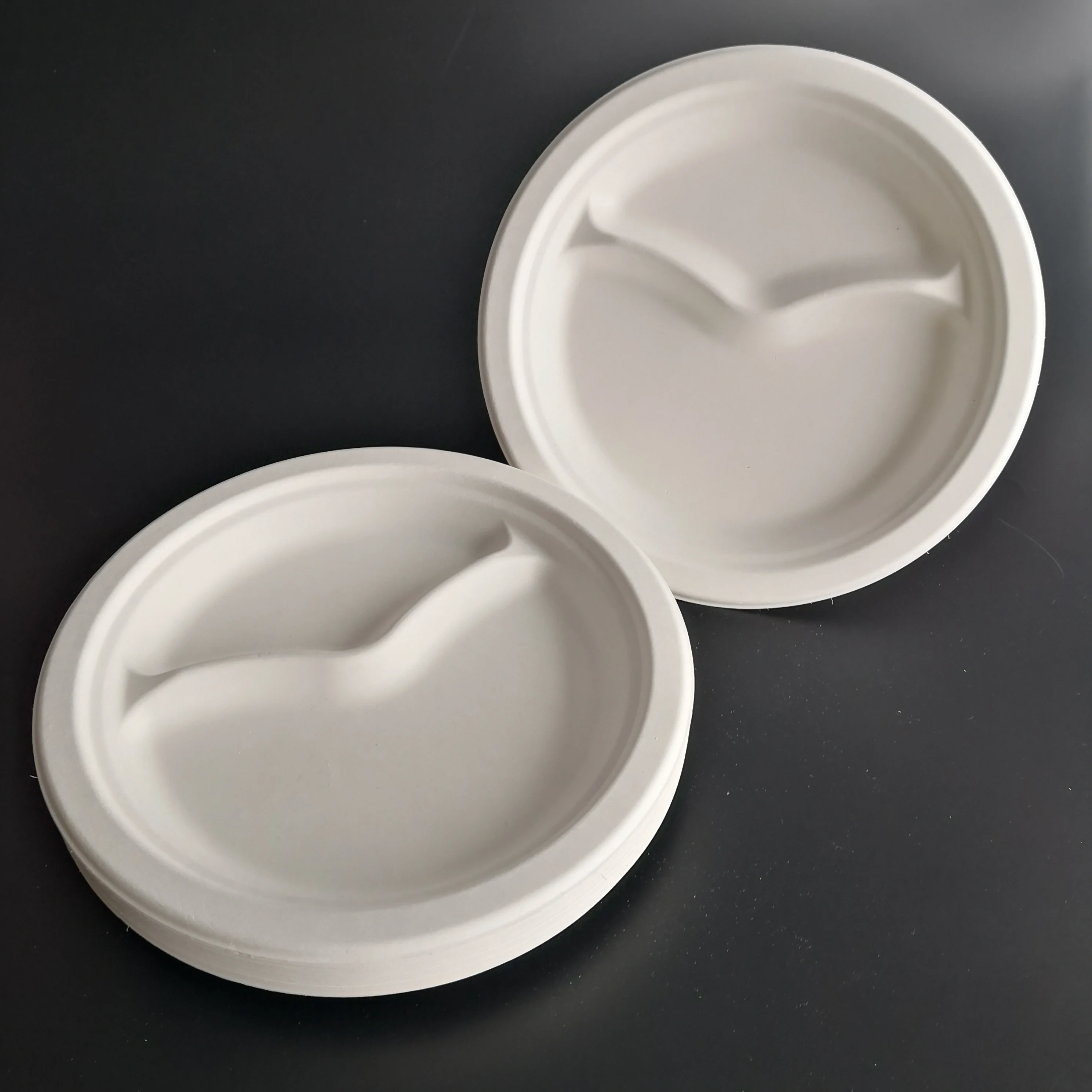Ecofriendly Biodegradable Bagasse 2 Compartment Plate Compostable Disposable Food Plate For Party