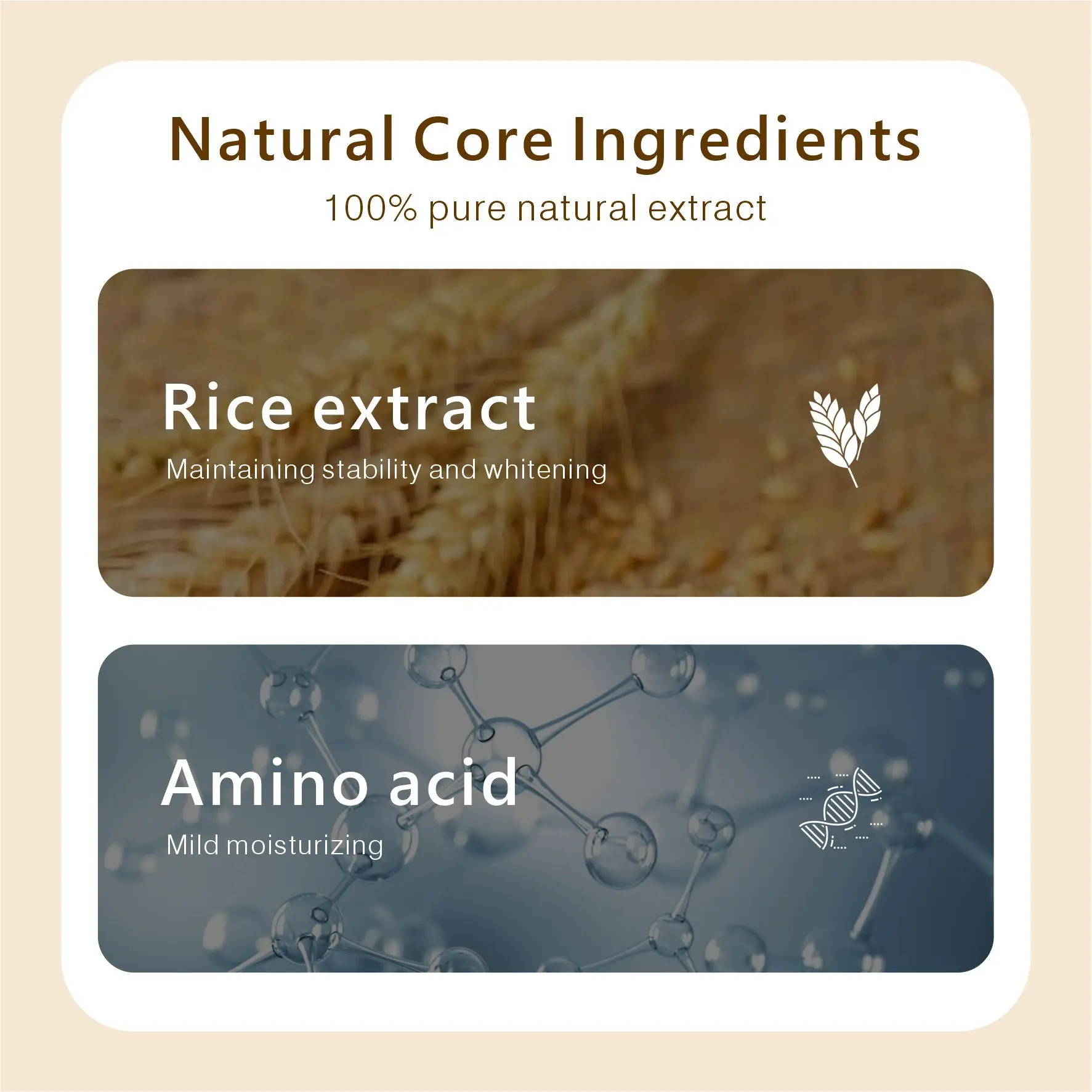 OEM ODM Korean Rice Skincare Products Organic Cleansing Mousse Amino Acid Face Wash Foam Facial Cleanser for Sensitive Skin