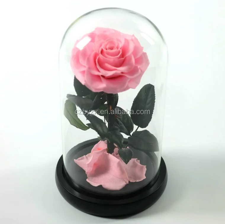 High Borosilicate Customization Galaxy Rainbow Rose In Glass Dome Led Bell With Black Wooden Base