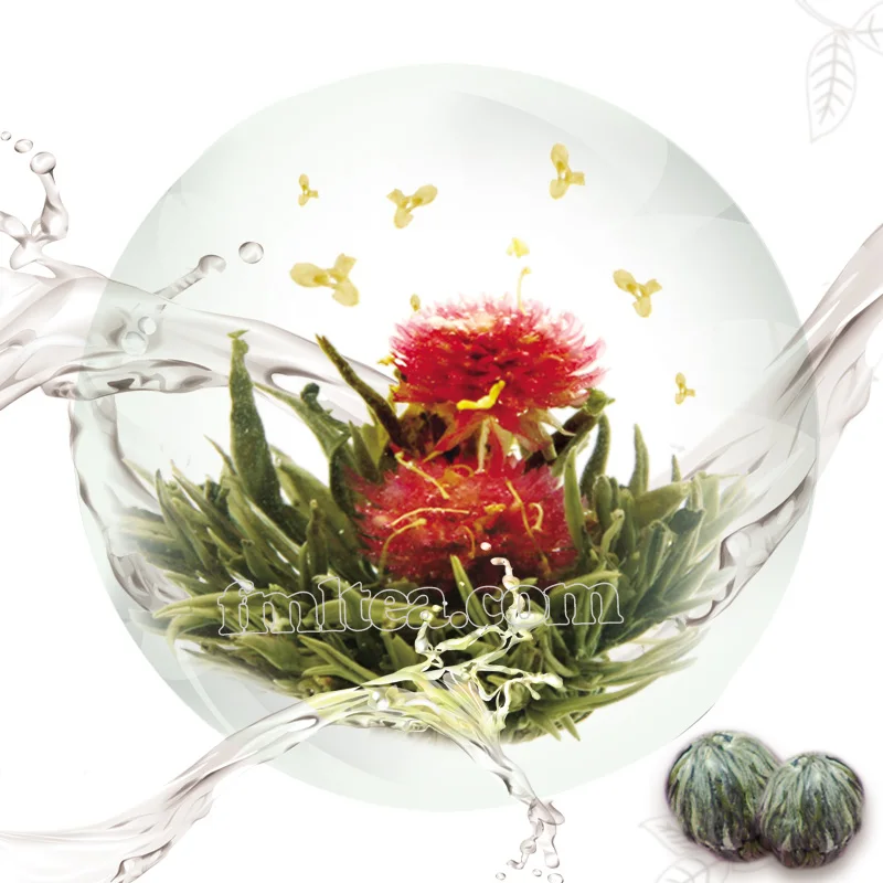 GABA Gabaron Jia Ye Wu Long Jin Bai Long Cha Oxygen Free Fermentation Gamma Aminobutyric Acid Black Oolong Tea Bag Gift Premium