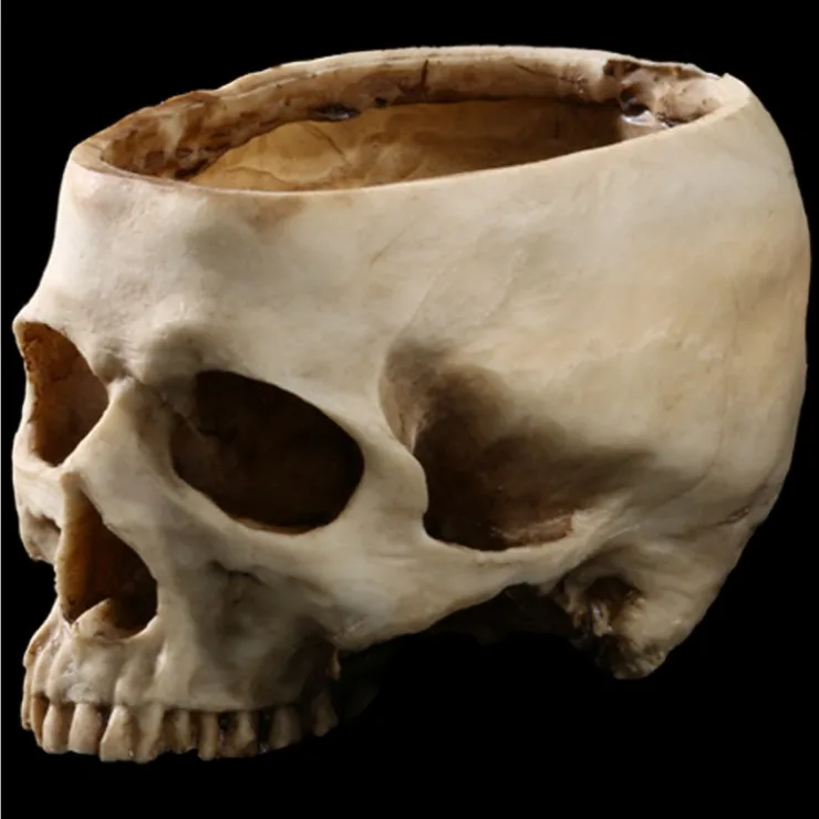 
Resin flowerpot movie set props home&garden decoration resin head skull crafts 