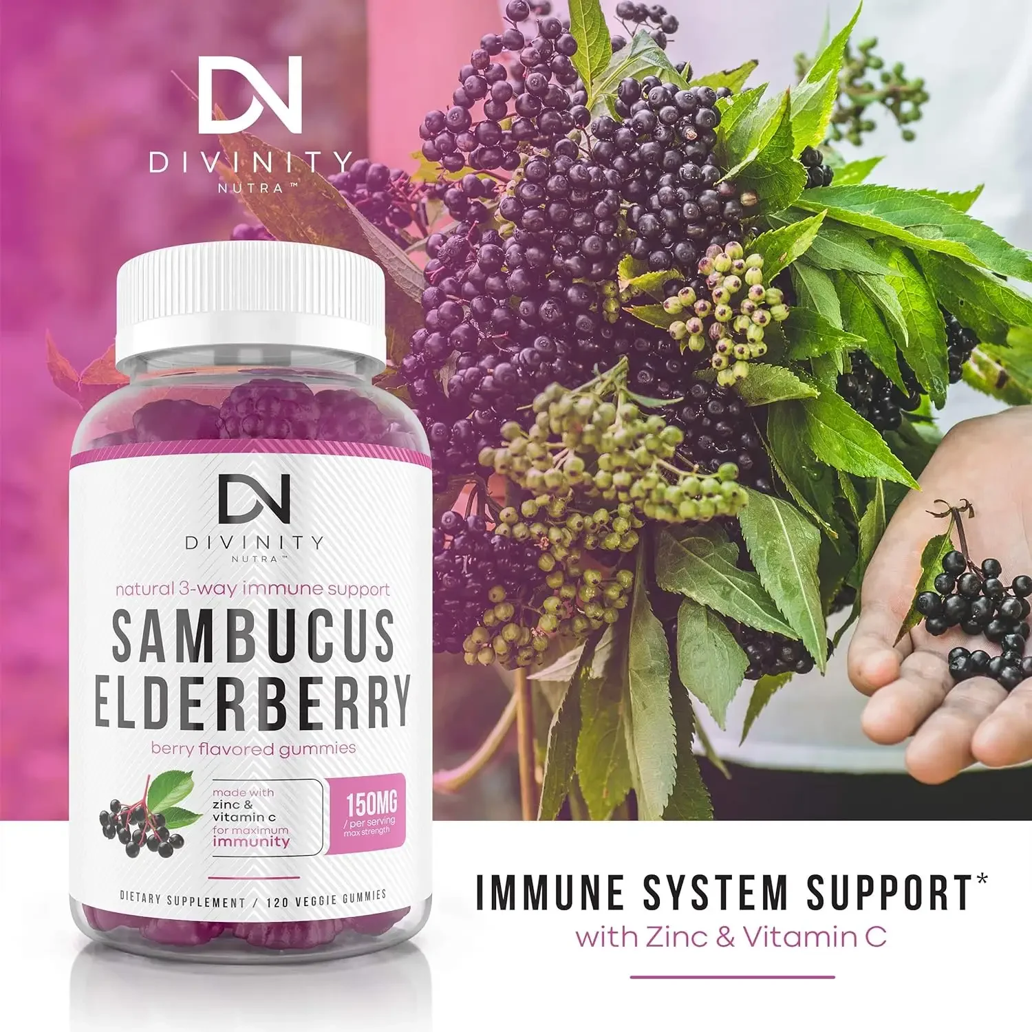 Advanced Heart Healthy Blood Pressure, Beetroot Gummies, Grape Seed Extract, Good for Circulating Blood Pressure Supplement