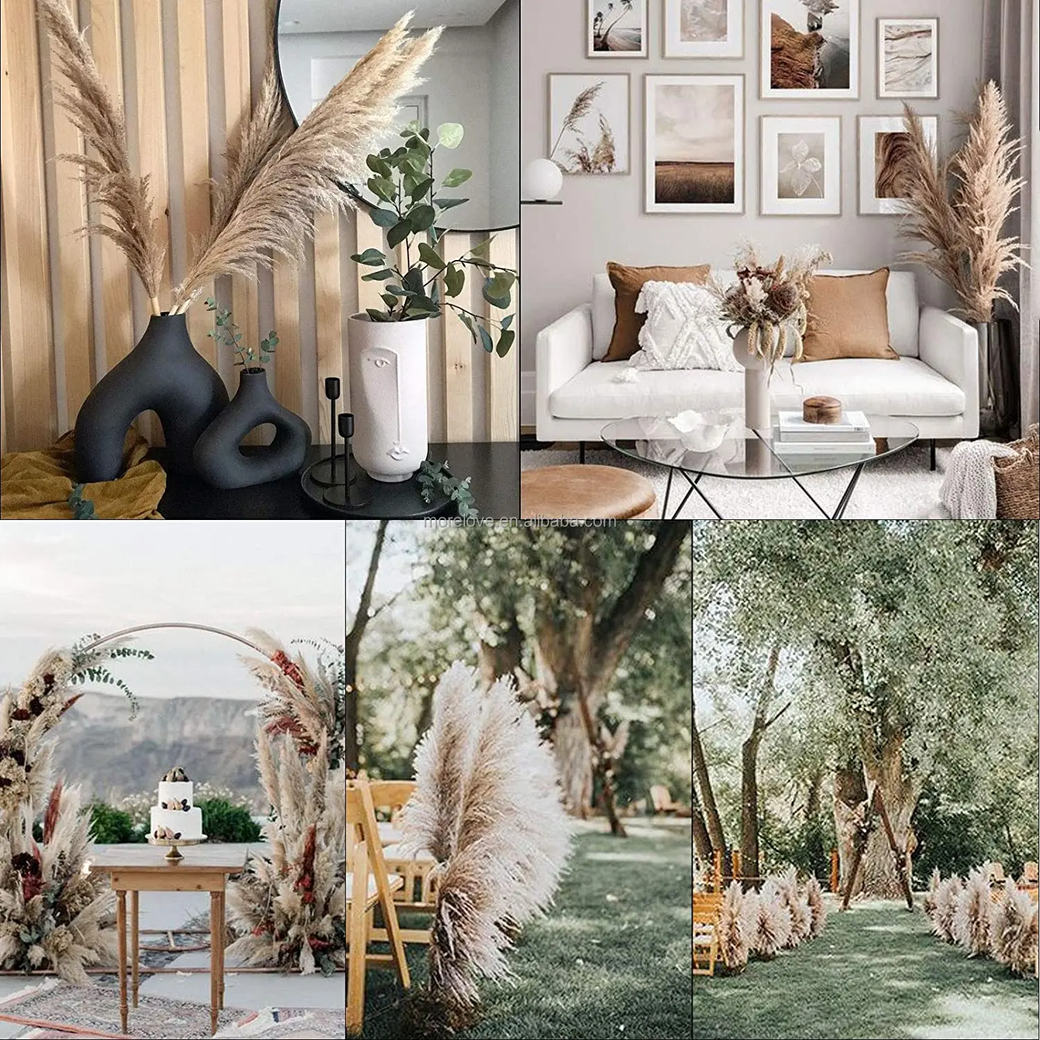 Wholesale Natural Dried Pampas Grass Decorative Flower Best Natural Real Dried Pampas Grass bouquet for wedding decor house deco