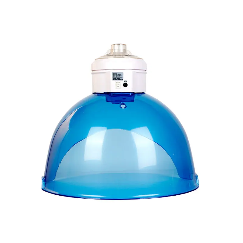 Spa Skin Care Hydrogen Water Spray Facial Beauty Instrument Rejuvenating and Tightening with US IT ZA Plugs Desktop Type