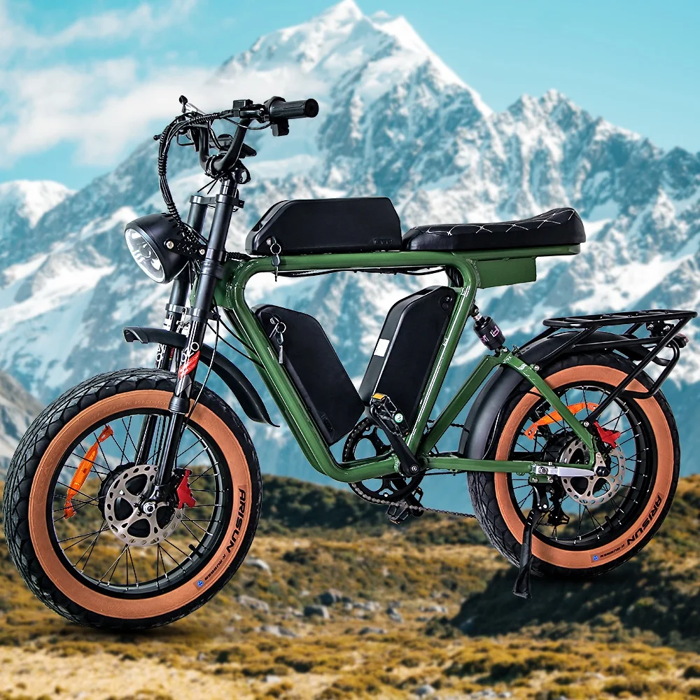 Electric Bicycle Motor Electric Fat Tire Bike 20 Wheel Size Electric Hybrid Bike 48v Electric Road Bike Dual motor Electric Bike