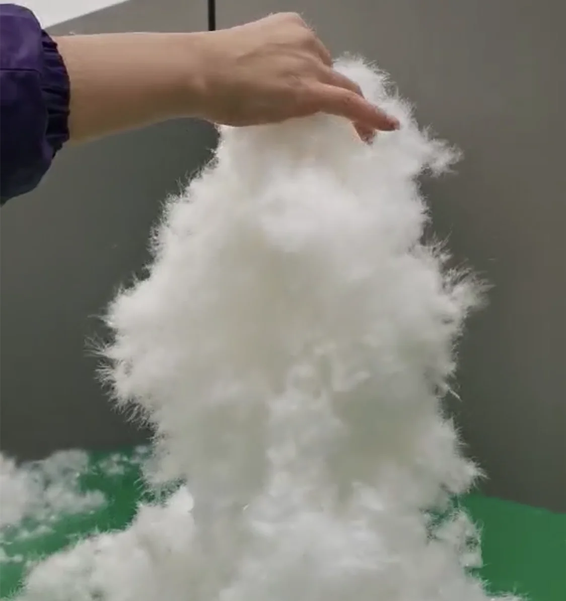 Ordinary White 93% Washed Muscovy Duck Feather Down Good Fill Power Japanese Standard