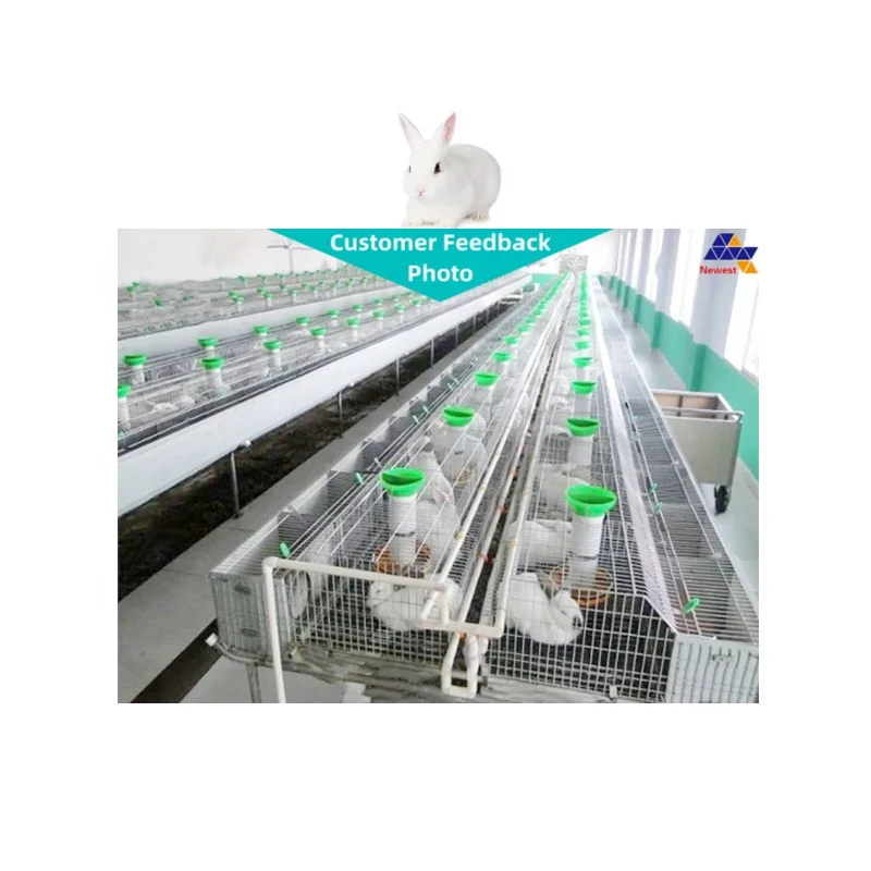 Competitive Equipment Morant Hutch Customized Size With Granular Feed Trough Installed Rabbit Cage