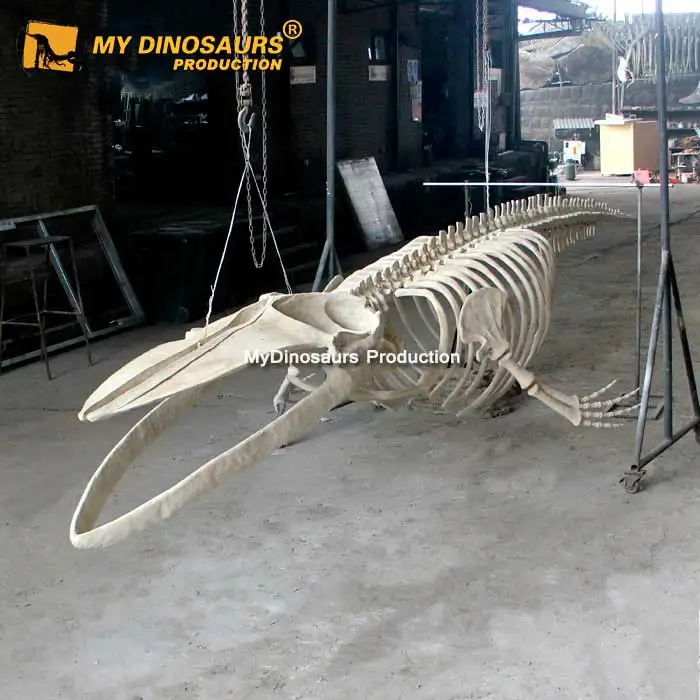 My Dino A543 реалистичный Скелет морского животного синего Кита для