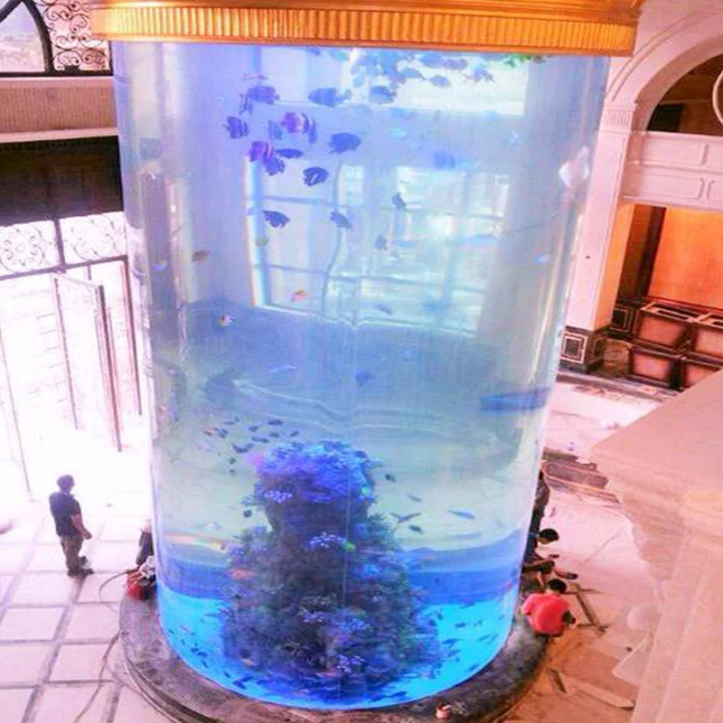 Wholesale hot sell acrylic fish tank/large aquarium for sale,aquarium jellyfish,aquarium decoration