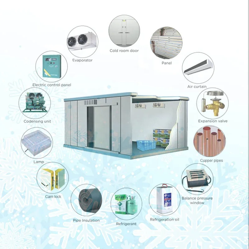 Walk in Blast Freezer  Room Chiller Cold Room Solar Powered Cold Store Container Industrial Refrigerator For Meat