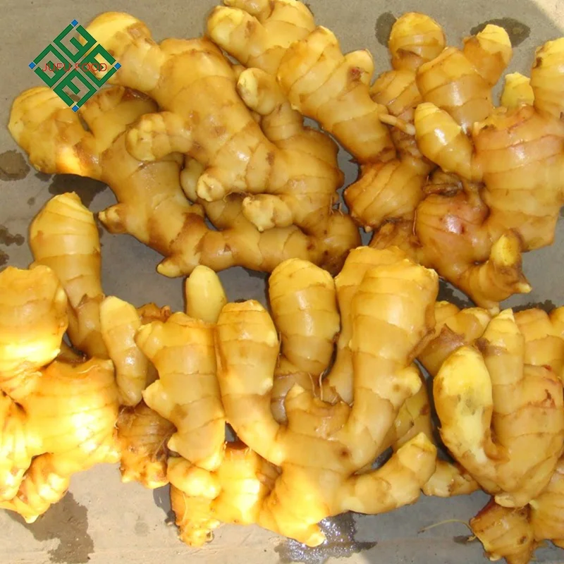 High quality Dry Ginger Professional export Fresh Clean ginger for wholesale