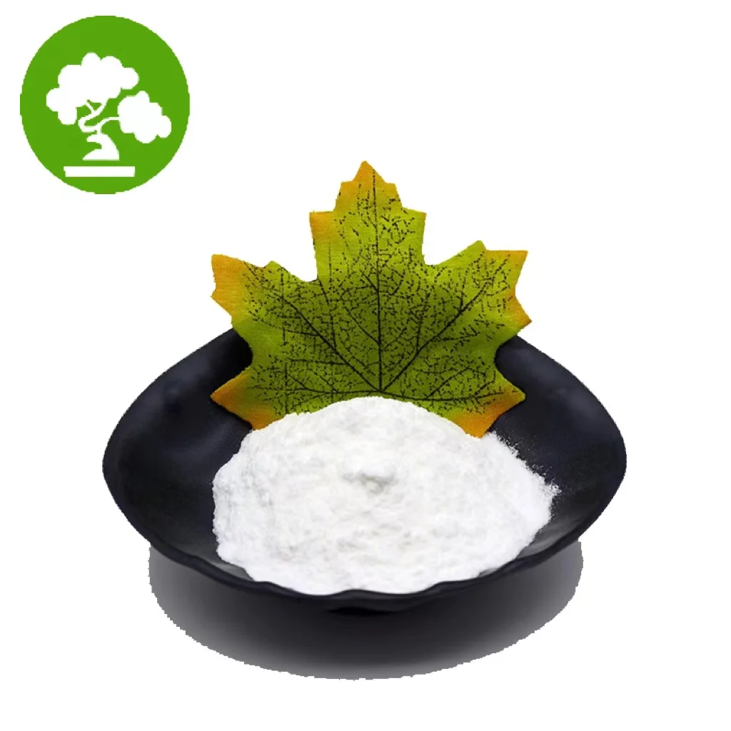 High Quality Food Preservative Sodium Dehydroacetate 99% Powder