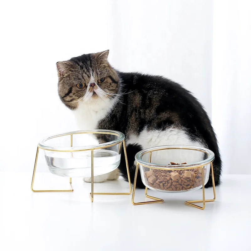 Hot Selling Customized Pet Food Feeder Glass Bowl Pet Cat Dog Bowl With Stainless Steel Stand