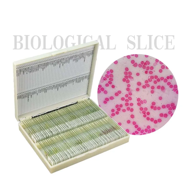 Biomedical Offered for Teaching Prepared Microscope Slides Biology Biological Sections