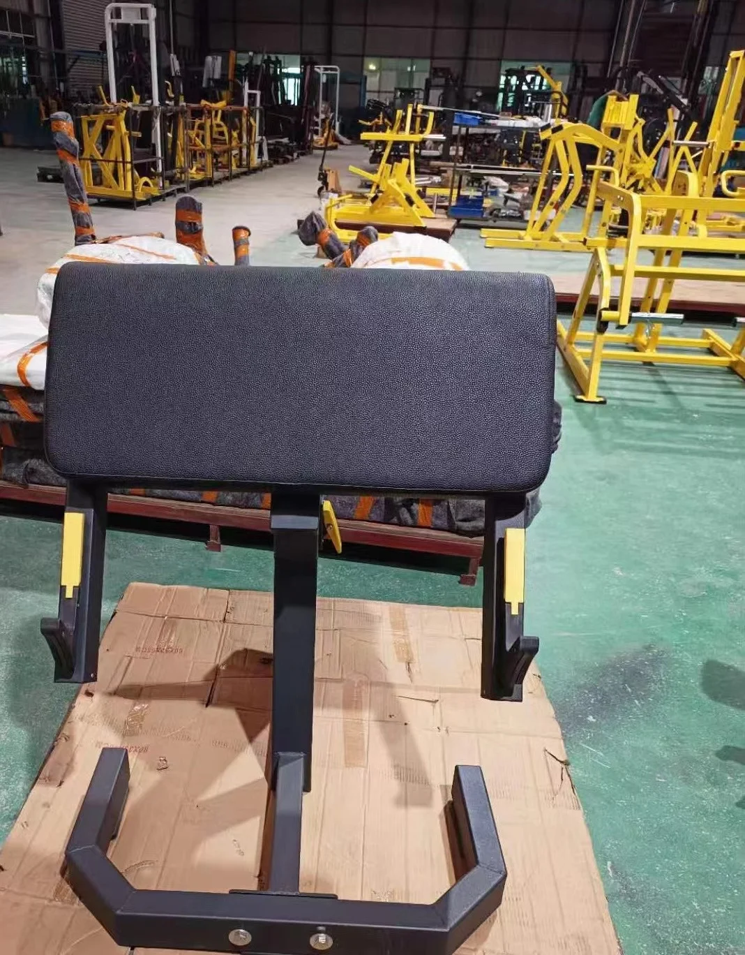 Commercial Seated Adjustable Arm Weight Scott Preacher Curl Bench Biceps Lifting Equipment 90 Degree OEM Preacher Curl Machine