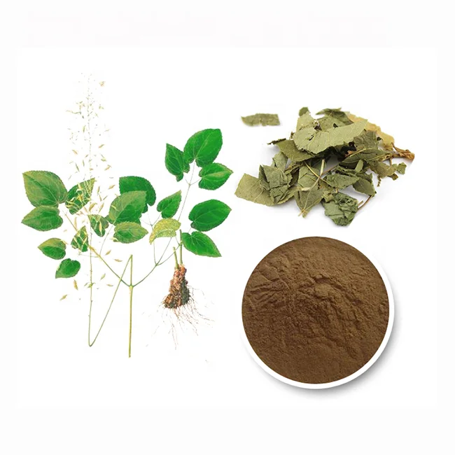 EU standard organic high purity extract powder gynostemma pentaphylla gypenosides 98%