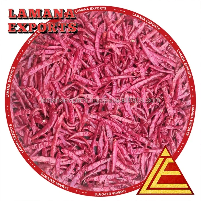 Chilli S17 Teja Stemless India Chilli Premium Quality for Thailand Guntur Hot Dried Red Chili Pepper Single Herbs & Spices Raw
