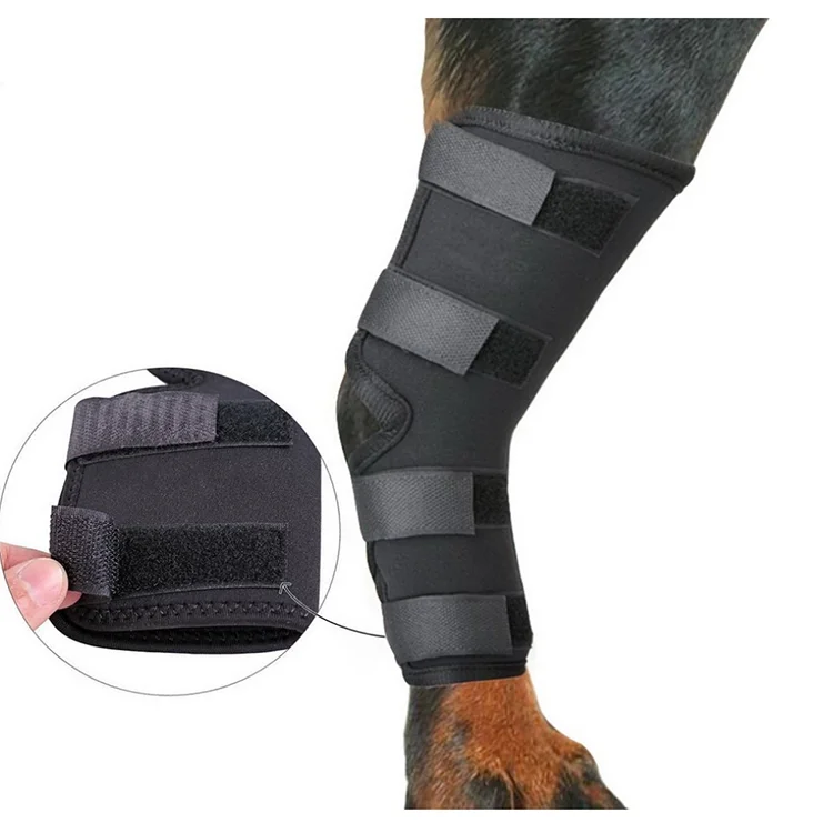 Hot Selling Recovery Protector Sleeve Dog Knee Brace Neoprene Leg for