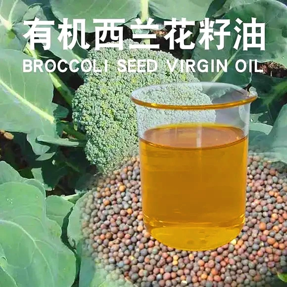Wholesale Organic Broccoli Seed Oil - 100% Pure, Refined, Filtered, Non-GMO, Unscented, Deodorized, Virgin Carrier Oil