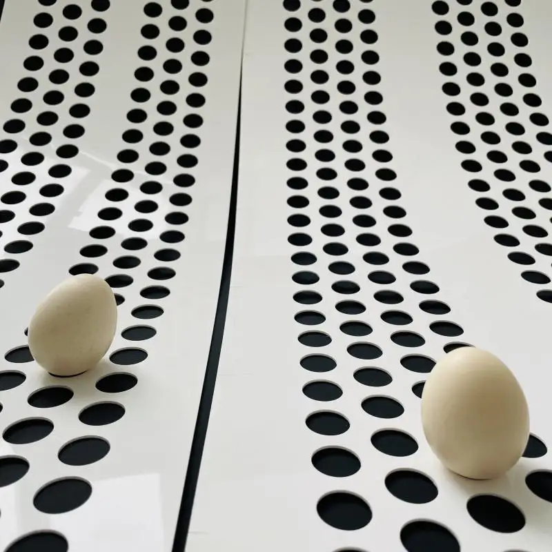 egg collecting belt Agricultural PP Poultry Conveyor Belt Polypropylene Conveyor Belt For Chicken 11