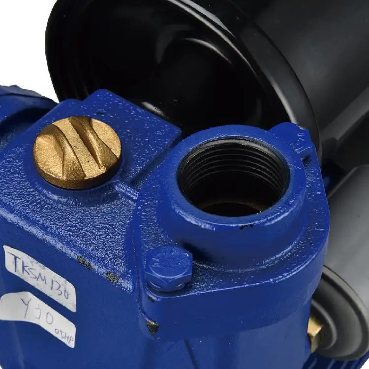 SALI High Performance SK250  0.25kw High Quality Self Priming Water Pump