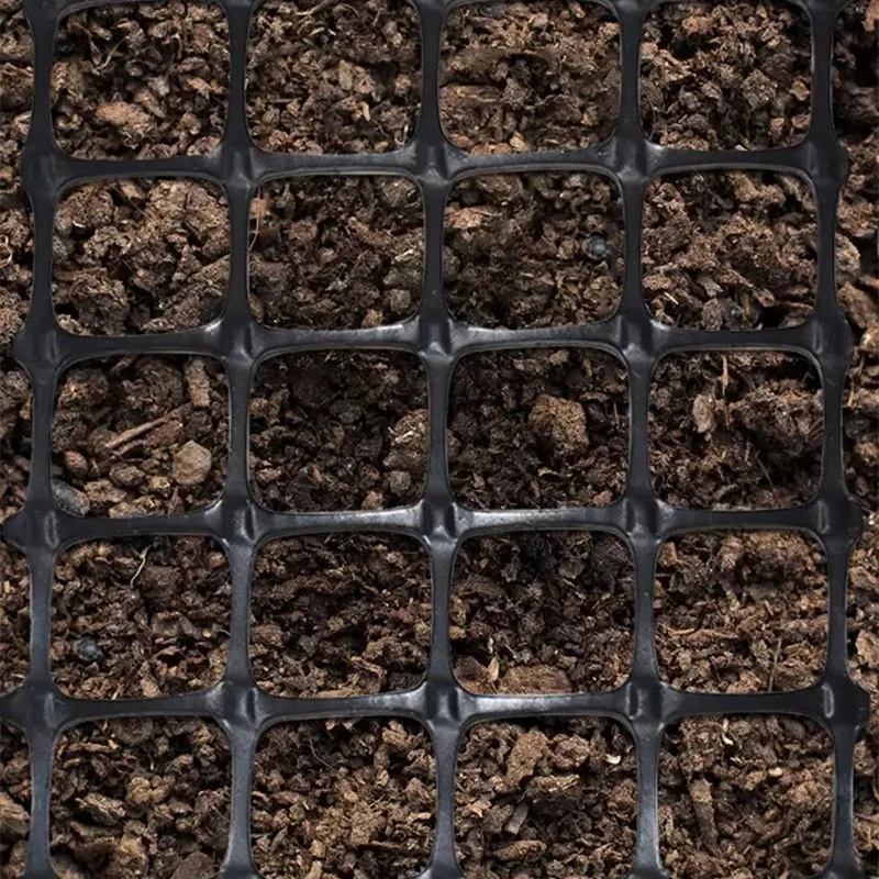 SDM Geogrid Plastic Geogrid PP Plastic Biaxial Geogrid for Subgrade Stabilization