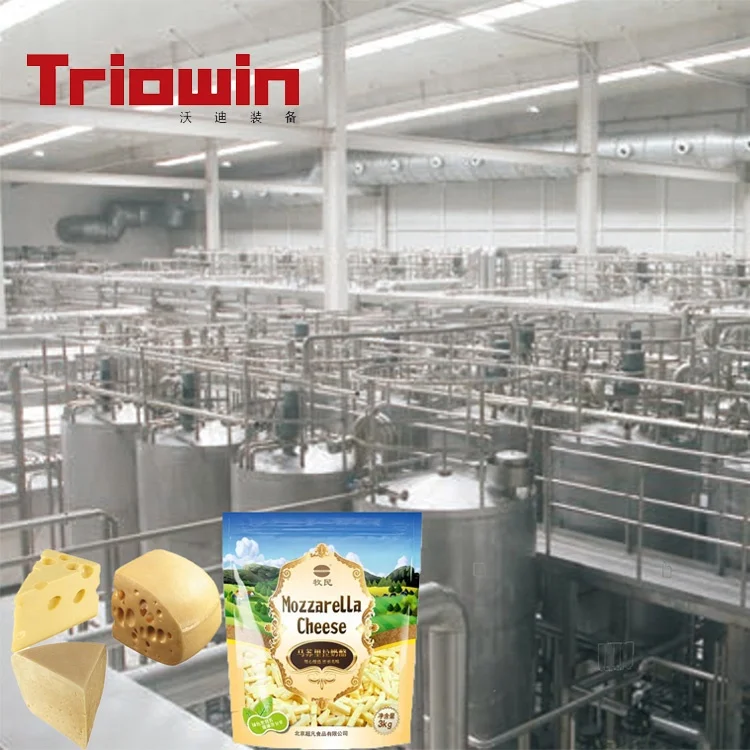 New machine cheese production line for sale mozzarella making industry
