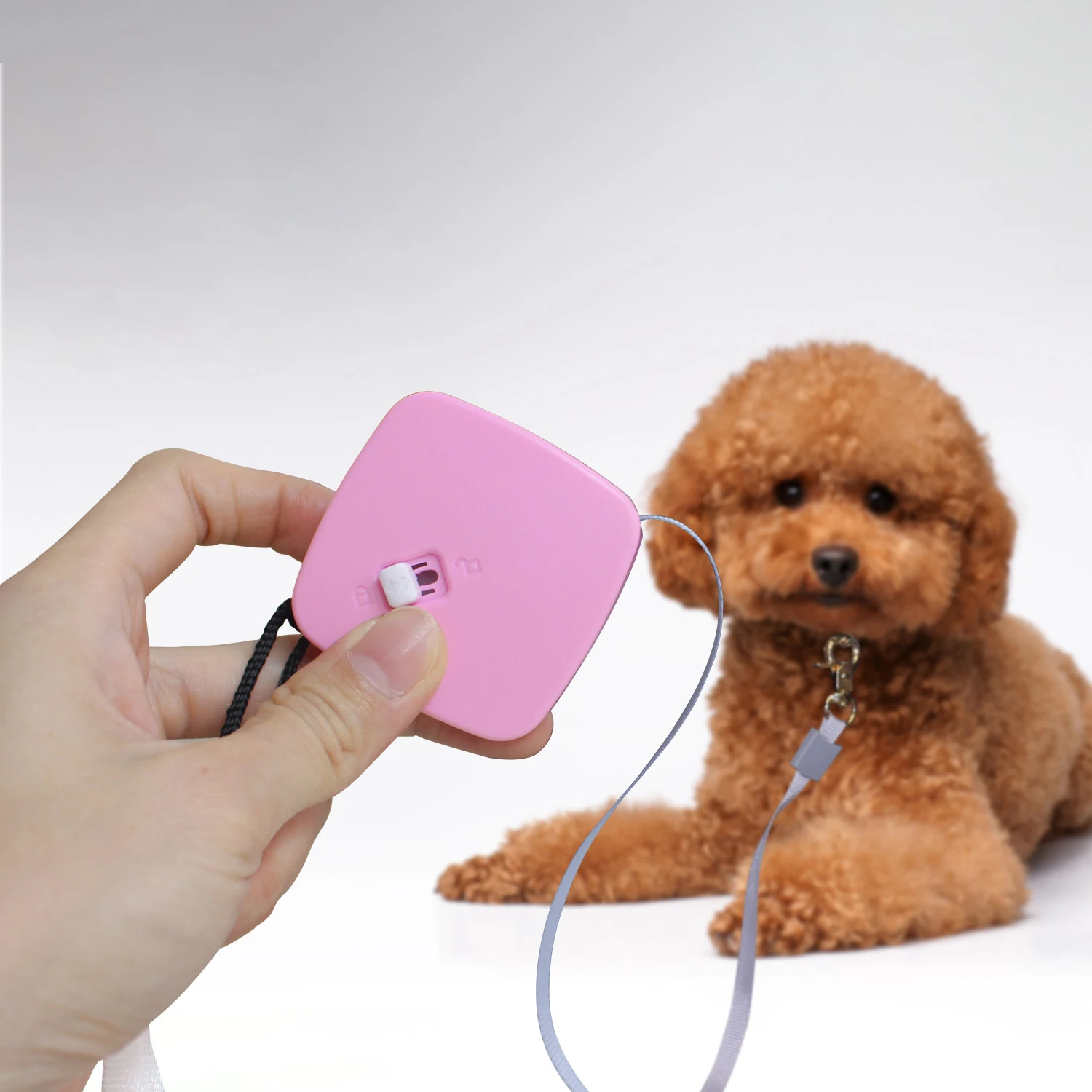 Small Size Mini Pet Leashes Strap Portable Automatic Retractable Pet Cat Dog Leash Strap