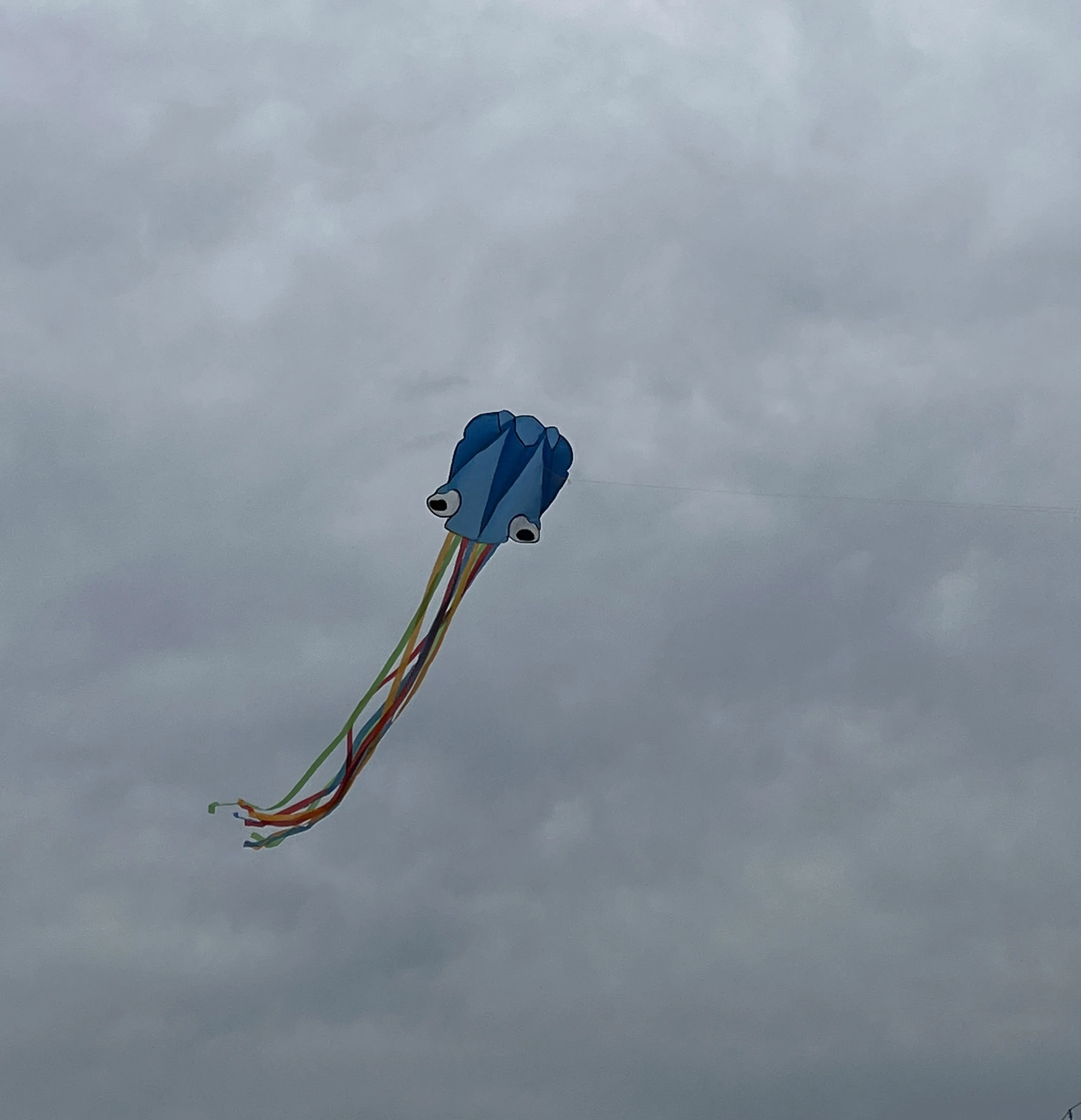 Inflatable Soft kite 3D shape kite