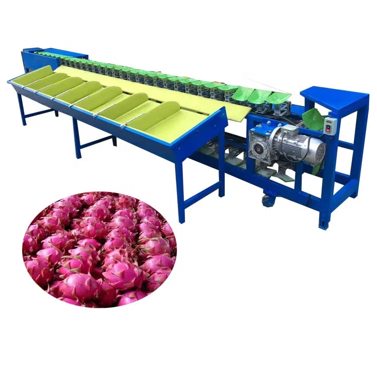 Industrial pitaya grading machine, machine for sorting pitaya, fruits pitaya grading and sorting machine for sale