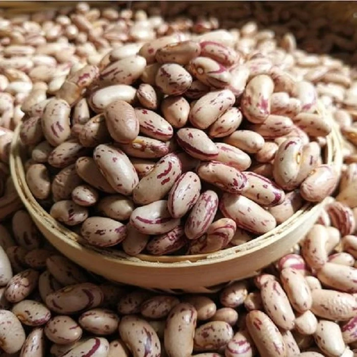 
New crop best quality beans dry pinto beans light speckled kidney bean LSKB Sugar 