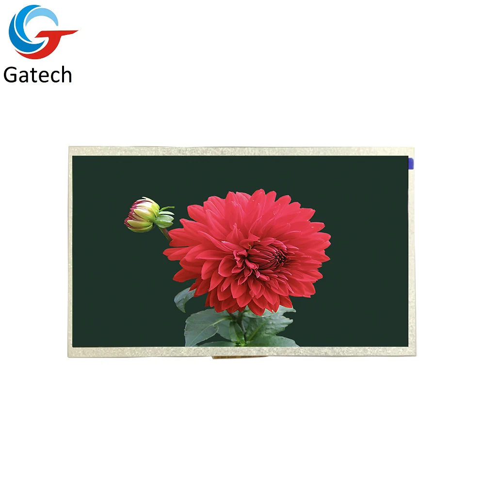 
2020 hot product 10.1inch 1920*1200 IPS lcd display OEM screen panel for Medical 
