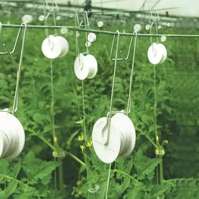 Tomato Roller Hook With Twine Agricultural Greenhouse for Grow Support