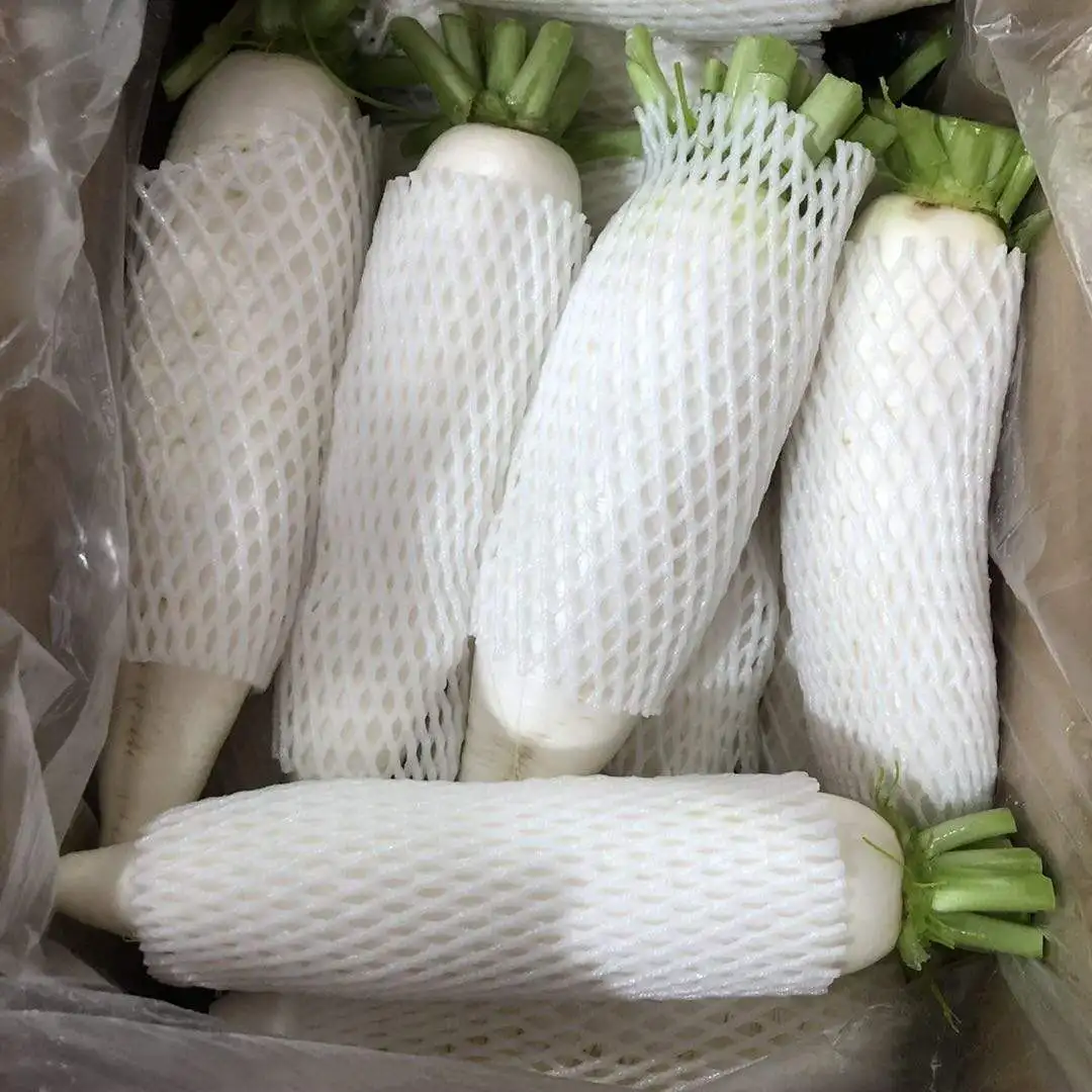 China new season White turnip / fresh vegetables mixed container export