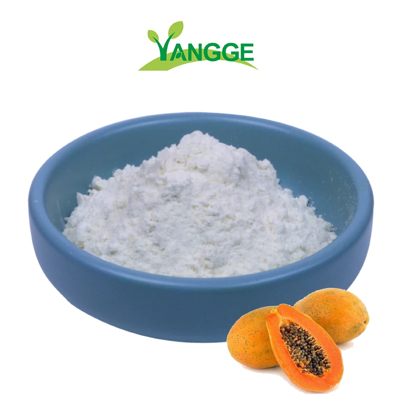 
Medical grade top quality best price papain papaya enzyme papain 2000GDU 