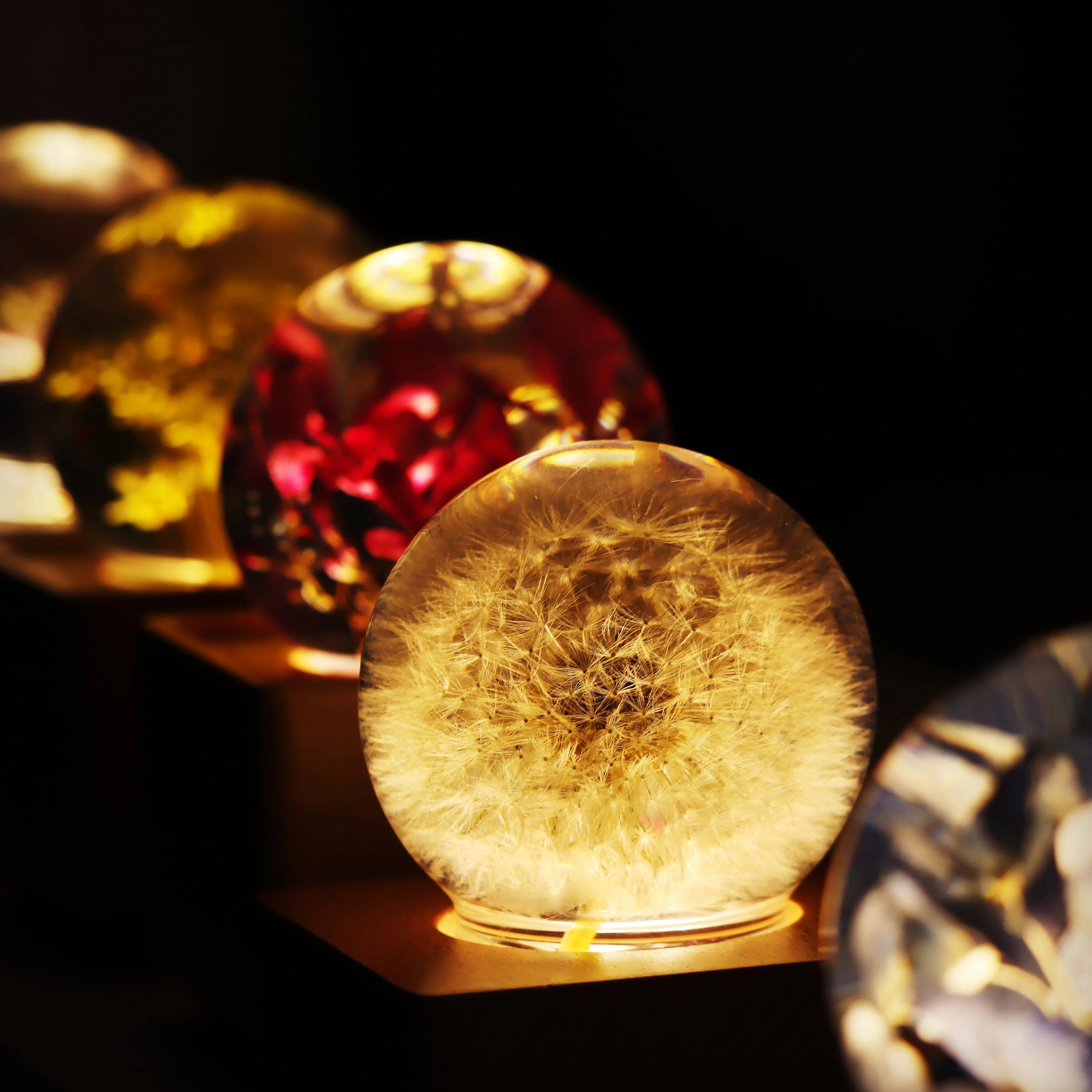 Real Fresh Flower Crystal Ball Wooden Base Design Music Box With LED Night Light For Birthday Valentine Christmas New Year Gift