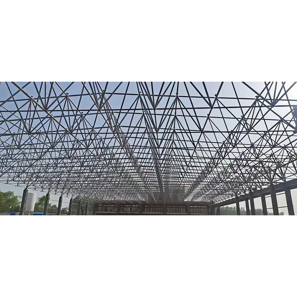 New Design and Structural Optimization of Long-Span Steel Space Frame Systems for Modern Aircraft Hangars