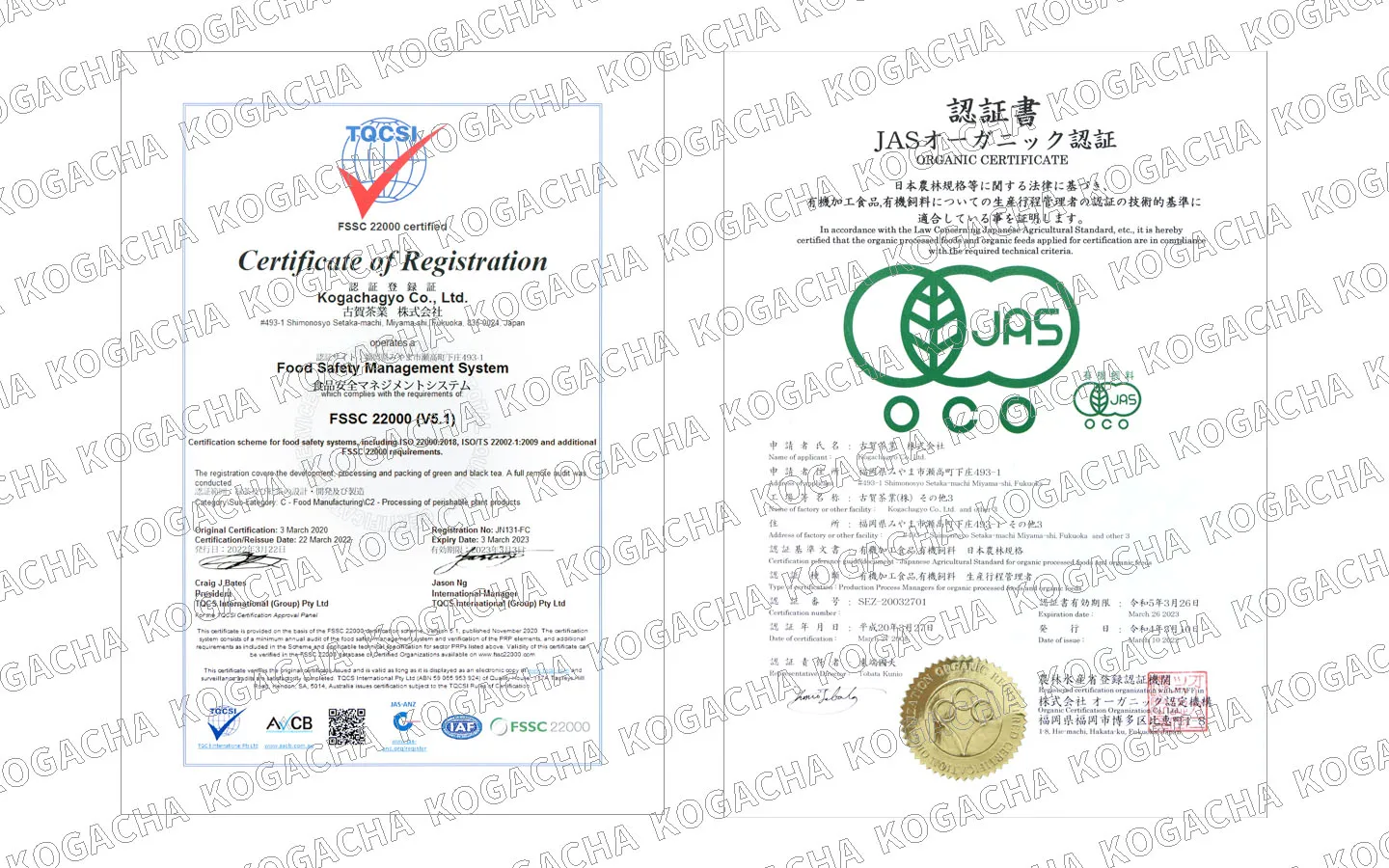 JAS/BIO certified bulk wholesale tea supplier growers in the production