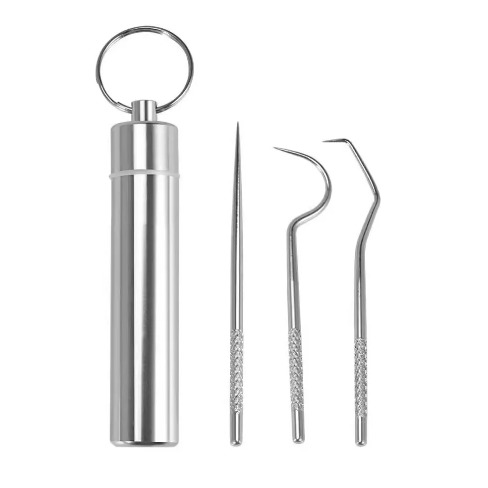 Portable Oral Tooth Cleaning Tool Set Keychain Toothpick With Protective Holder 304 Stainless Steel Metal Toothpicks for Teeth