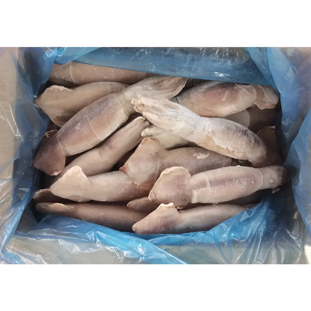 good quality IQF peru Indian ocean squid dosidicus gigas giant squid