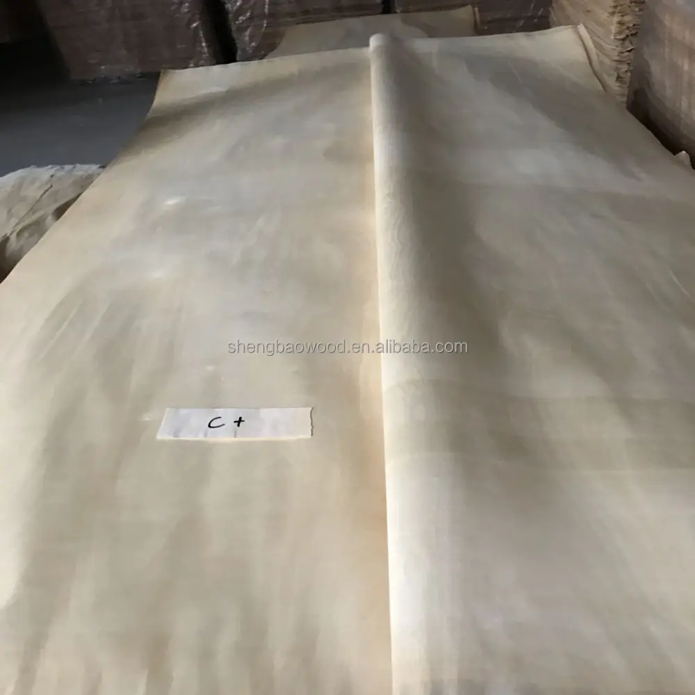Russia White Birch face  veneer for birch plywood
