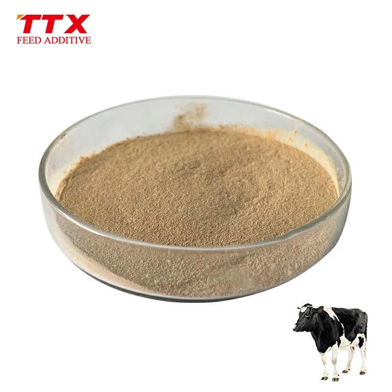 biological enzyme protease powder